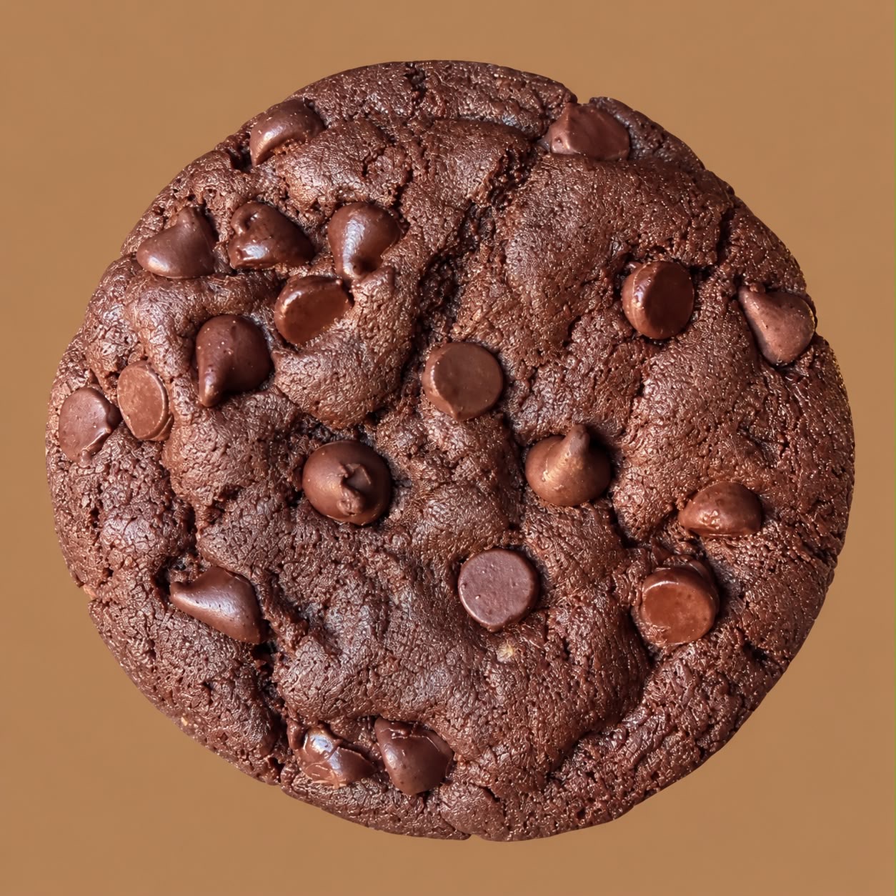 Chocolate Cookies